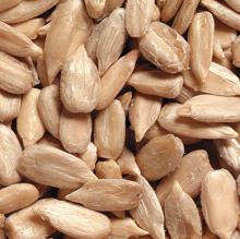 Sunflower seed and kernel