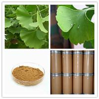 Ginkgo Biloba Extract