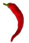  CHILLI 