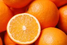  Navel  and  Valencia   oranges 