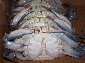 Frozen/Fresh Crab