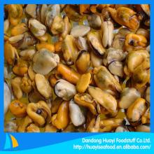 New season  frozen   mussel  meat blue  mussel 
