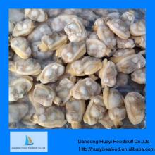 frozen boiled  short   necked   clam  baby  clam 
