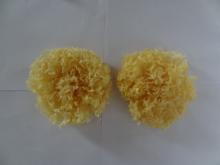 dried white fungus
