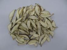 dried mushroom slice