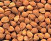  apricot   kernel s  extract  amygdalin 98% 99% free sample