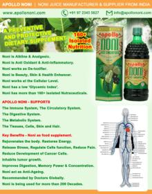 Noni  Juice | Apollo  Noni  |  Noni  Juice India |  Noni   Products  - Benefits Manufacturer Suppliers