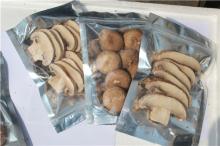 dried  mushroom   slice 