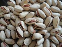 Quality Raw Pistachio Nut