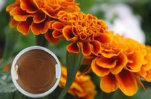 marigold oleoresin