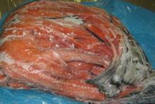 Frozen Salmon Backbones