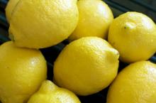 Hot Sale Fresh  Lemon s