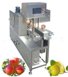 fruit  peeler 