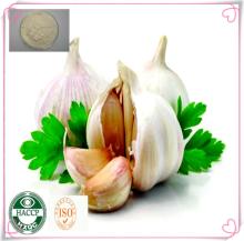 garlic extract odorless allicin