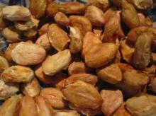 FERMENTED COCOA BEANS