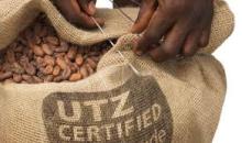 CAMEROON RAW COCOA BEANS
