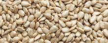  HULLED   SUNFLOWER   KERNELS 