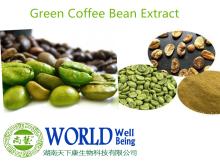 High Quality Green  Coffee   Bean   Extract  Powder With Chlorogenic Aicd