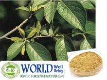 Factory Supply Eucommia Leaf Extract With Chlorogenic acid 25%-70% Eucommia Leaf Extract Powder
