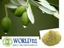 Natural  Olive  Leaf  Extract   Powder  With Oleuropein