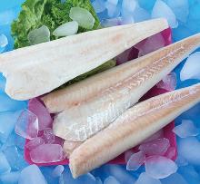  Atlantic /Pacific cod