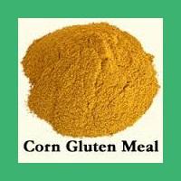 Corn gluten meal 58% for animal use