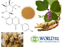  Pueraria  Root Extract/ Kudzu  Root Extract/ With Puerarin  Powder 