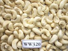 Raw cashew nut without shell Vietnam origin