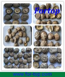 Varieties of New Crop Dried Shiitake Mushroom for British