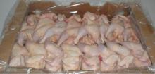 Halal Frozen Chicken Parts