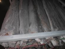  sailfish 