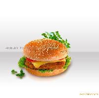 Turkey and chicken burger