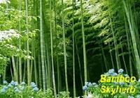 Bamboo leaf Extract