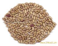 LIGHT SPECKLED KIDNEY BEANS LONG SHAPE