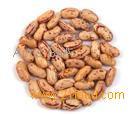  light   speckled   bean s