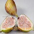  Canned   Fig 