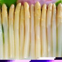 White Asparagus (Vegetable)