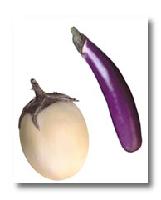 fresh eggplant