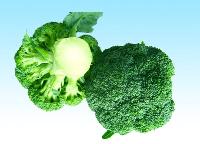  fresh   broccoli 