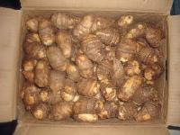 fresh taro