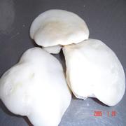 Canned Bailing Mushrooms