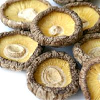 Dried Mushroom