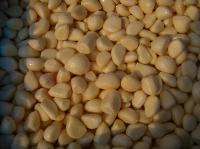 Quick-frozen garlic