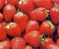 Quick-frozen strawberry