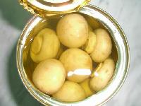 canned mushroom(whole)