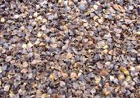 buckwheat hull