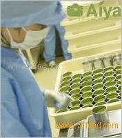 Matcha-Premium Green Tea