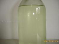 Rosemary Essential Oil