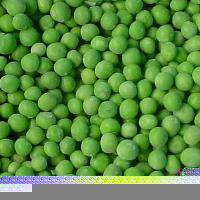 Canned Green Peas