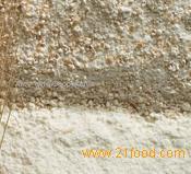  Soft   wheat  flour